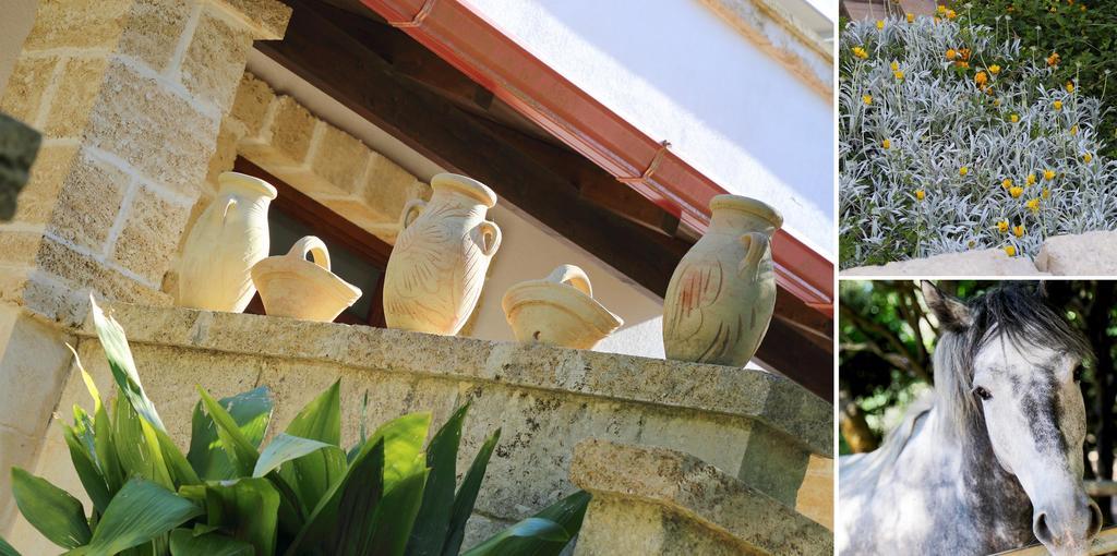 Masseria L'Uliveto Agri Resort Otranto Exterior photo
